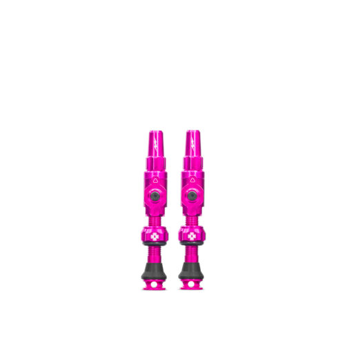 TUBELESSVALVES BIGBORE LITE仏式×仏式 コアレスバルブ